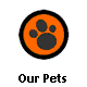 Our Pets