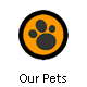 Our Pets