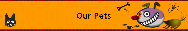 Our Pets