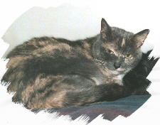 My Samantha