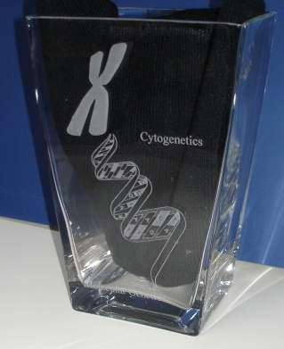 Glass Vase Mayo Front