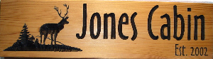 Jones Cabin