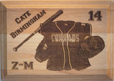 Softball plaque